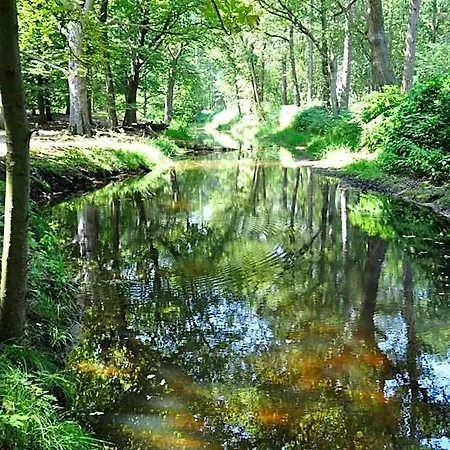 Gasterij Leyduin Lodge Vogelenzang