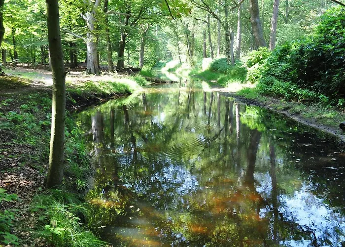 Gasterij Leyduin Lodge *