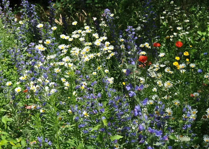 Lodge Gasterij Leyduin *