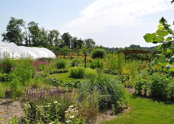 Lodge Gasterij Leyduin Vogelenzang